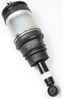 AIRMATIC STRUT FOR RANGE ROVER SPORT RPD501110