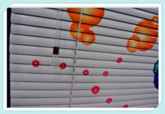 venetian blinds use in bedroom