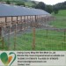 high quality cattle fence