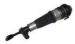 AIRMATIC STRUT FOR AUDI A6/C5 4B ALLROAD QUATTRO AVANT 1999-2006 REAR LEFT