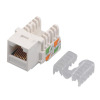 Cat.6 RJ45 Keystone Jack Cat.5e RJ45 Keystone Jack