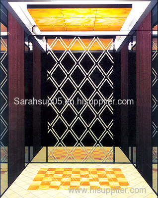 630 800 kg small elevator from China with good quality