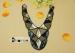 Bling Sequins Ladies Kurtis Beaded Neckline Applique , Gold / Black