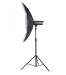 L-3950FP Professional aluminum light stand