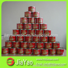 canned food canned tomato paste