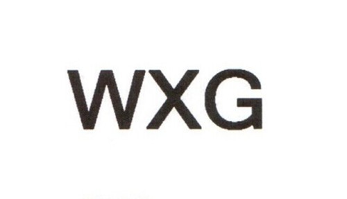 WOXINGO TECHNOLOGY HK LIMITED