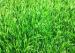 11000Dtex Natural Landscape Synthetic Grass Garden Playground Artificial Grass Weather Resistance