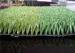 40mm Soccer Green Or White Artificial Grass Decoration Turf Athletic Fields