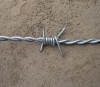 Barbed wire double strand