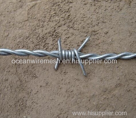 Barbed wire double strand