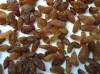 xinjiang stulta/ red /green / golden seedless raisin