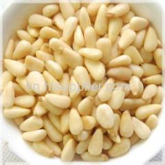 red pine nut kernel