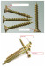 Pozi Double Csk Head Chipboard Screw(large range of szies)