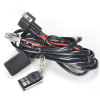 Truck 2 Legs Plug and Play Remote Control Wiring Harness and Switch