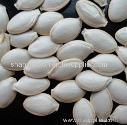 snow white pumpkin seed