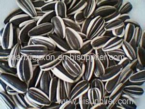 2014 new crop sunflower seed 5009