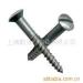 DIN571 Wood screws (hex head)