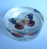 cheap glass crystal paperweight