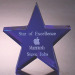 crystal glass star paperweight