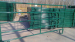 5 Rails Green Horse Corral Panel with Panel Gate