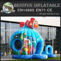 birthday inflatable bouncy slide