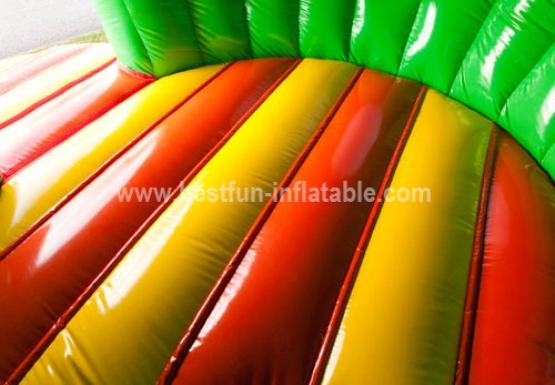 Bouncy castle Disco Jungle Fun