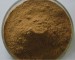 100% natural Eucommia ulmoides bark extract