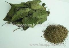 100% natural Eucommia ulmoides bark extract