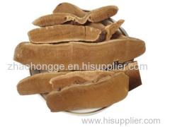 100% Natrual Reishi Extract ganoderma lucidum