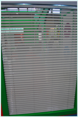 Latest roll up blind/decorative blinds/roller window curtain