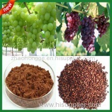 Very Good price Grape Seed Extract 95% OPC/ Water soluble Grape seed Extract