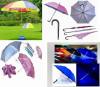 Various Umbrella Sun Umbrella Foldable Umbrella Stick Umbrella