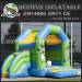 Amusement inflatable bounce house