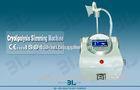492nm 455nm Cryolipolysis Slimming Machine Without Side Effects
