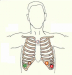 24 hours holter ECG