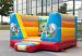 Beautiful cute inflatable bounce house