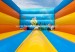 Balloon inflatable jumping bounce house