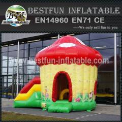 Mushroom bouncer with slide