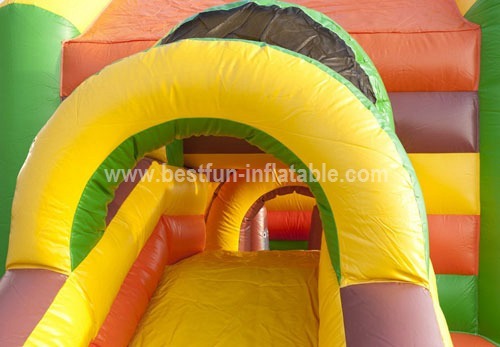 Bouncy castle simba Multifun