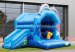 Dolphin inflatable bouncy slide