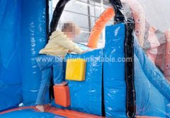 Mini Multifun whale slide bouncer