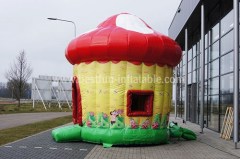 Mushroom bouncer with slide