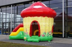 Mushroom bouncer with slide