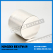 Super magnets neodymium N45 D10x10mm Cylinder NdFeB Magnets for sale