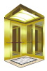 Ti-gold Mirror Passenger Elevator