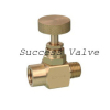 Brass Needle Valve F/M