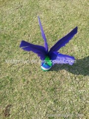 chinese kicking jianzi DIY520