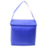 Eco Friendly Cooler Lunch Bag with Insulated Foil Lining