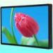 42 Inch 1080P Digital Multimedia LAN / WIFI LCD Digital Signage For Banks M4202DW-Net