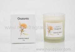 100g scented candle SA-2047